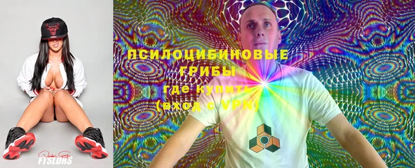 гидра Волоколамск