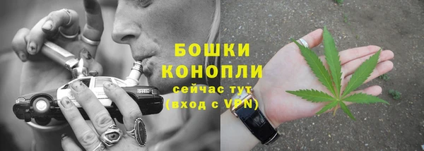 PSILOCYBIN Вяземский