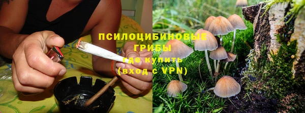 ПСИЛОЦИБИНОВЫЕ ГРИБЫ Володарск