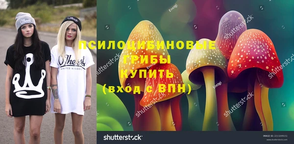 гидра Волоколамск