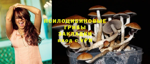 гидра Волоколамск
