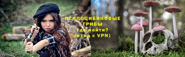 ПСИЛОЦИБИНОВЫЕ ГРИБЫ Володарск
