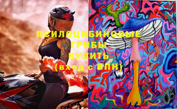 гидра Волоколамск